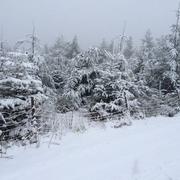 Montselgues 01/02/2014