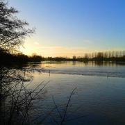 Thubœuf 02/02/2014