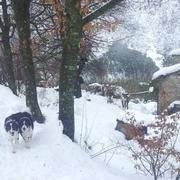 Briançonnet 03/02/2014