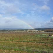 La Livinière 07/02/2014