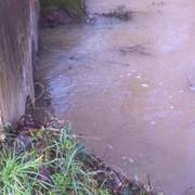 Mauzé-Thouarsais 09/02/2014