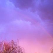 Mauzé-Thouarsais 10/02/2014