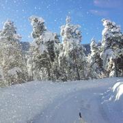 Briançonnet 11/02/2014