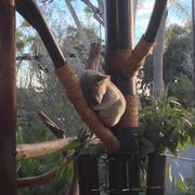 San Diego 12/02/2014