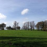 Guémené-Penfao 24/02/2014