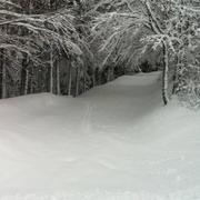 Cellier-du-Luc 04/03/2014