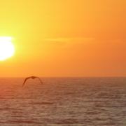 Los Angeles 14/10/2009