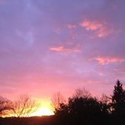 Labastide-d'Armagnac 15/03/2014