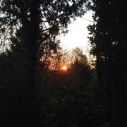 Arlon 06/04/2014