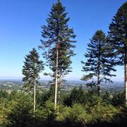 Dun-le-Palestel 12/04/2014