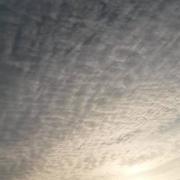 Le Mesnil-Durand 12/04/2014