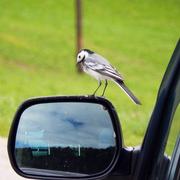 La Tour-de-Peilz 13/04/2014