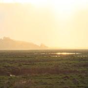 Noyelles-sur-Mer 23/04/2014