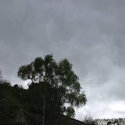 Joinville 27/04/2014