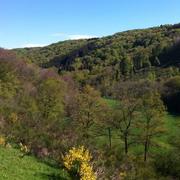 La Tour-d'Auvergne 08/05/2014