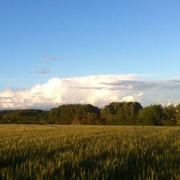 Villeloin-Coulangé 13/05/2014