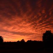 Guenrouet 19/05/2014