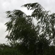 Billy-sur-Oisy 21/05/2014