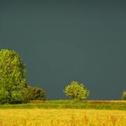 Champlecy 31/05/2014