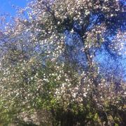 Sénaillac-Latronquière 31/05/2014