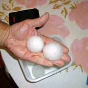 Les Bordes 09/06/2014