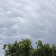 Châtaincourt 09/06/2014