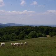 Saint-Léger-de-Fougeret 17/06/2014