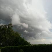 Laboulbene 28/06/2014