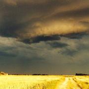 Villeloin-Coulangé 04/07/2014