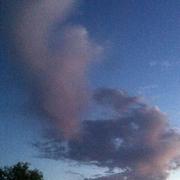 Champlost 04/07/2014