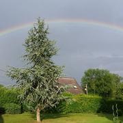 Saint-Benin-d'Azy 08/07/2014