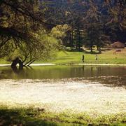 Theniet El Had 10/07/2014