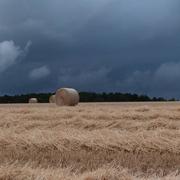 Dampierre-en-Montagne 10/07/2014