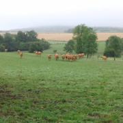 Martigny-les-Bains 12/07/2014