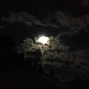 La Motte-du-Caire 13/07/2014