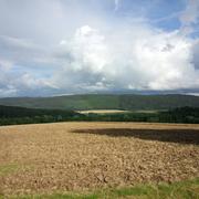 Courtavon 13/07/2014