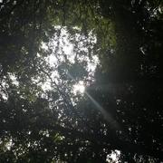 Lasseube-Propre 17/07/2014