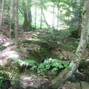 Roquefort-de-Sault 18/07/2014