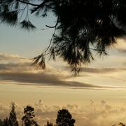 Le Tampon 02/11/2009