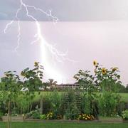 Saint-Augustin-des-Bois 19/07/2014