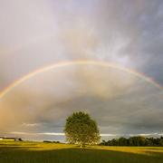 Martigny-les-Bains 19/07/2014