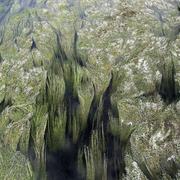 Monceaux-sur-Dordogne 19/07/2014