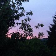 Méréville 19/07/2014