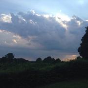 La Chapelle-Thireuil 25/07/2014