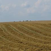 Crannes-en-Champagne 27/07/2014