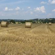 Crannes-en-Champagne 27/07/2014