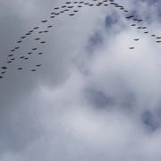 Tortezais 03/11/2009