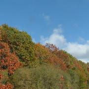 Arnac-la-Poste 04/11/2009
