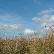 Arnac-la-Poste 04/11/2009