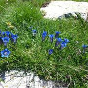 Porté-Puymorens 08/08/2014